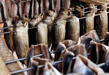 Complément alimentaire