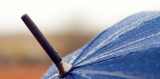 parapluie pour femme